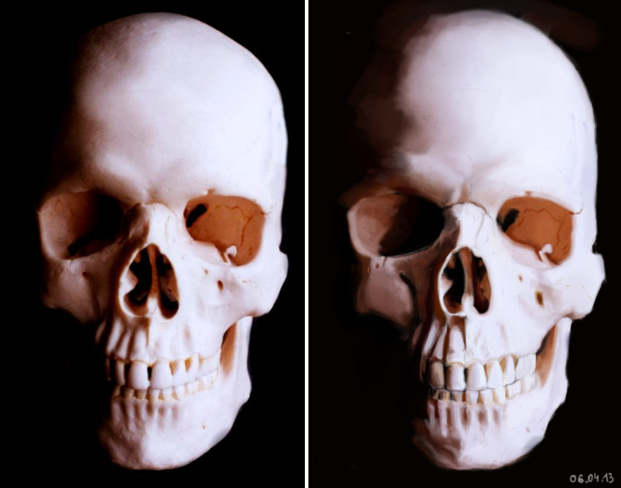 face vs skeleton