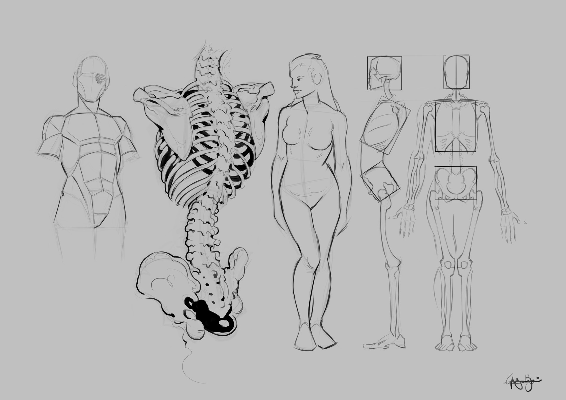 Анатомия тела референс для художников