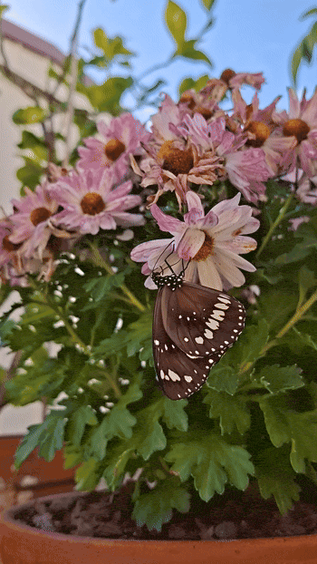 [Image: 20260607_125616%20(2)%20(1).gif]